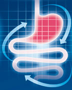 Logo der gastroenterologischen Facharztpraxis Dr. Höffl